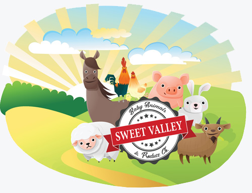Sweet Valley Baby Animals