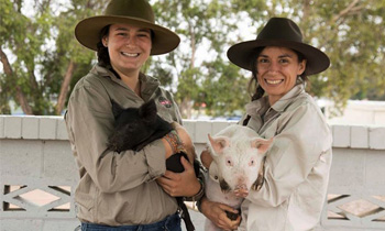 Sweet Valley Baby Animals