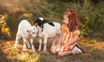 Sweet Valley Baby Animals