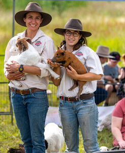 Contact Sweet Valley Baby Animals