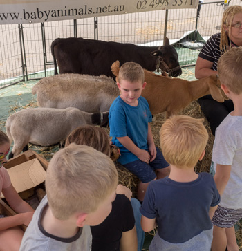 Sweet Valley Farm Party